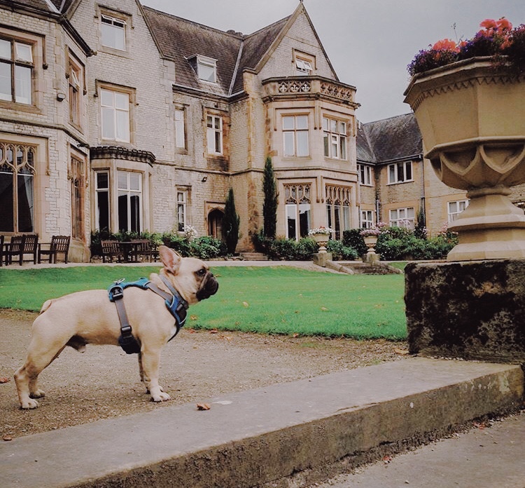 Mercure Sheffield Kenwood Hall Hotel & Spa